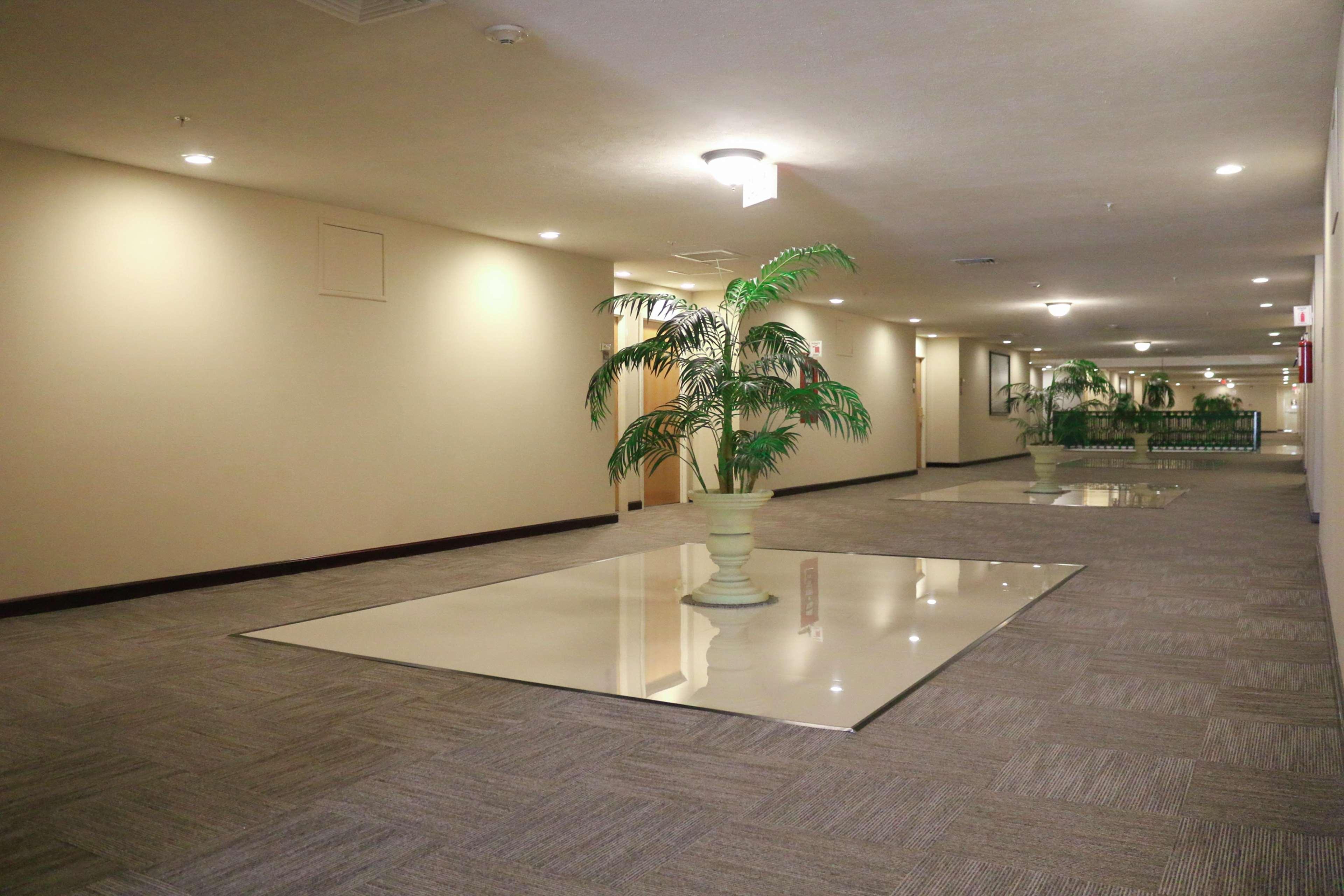 Hampton Inn Tampico Zona Dorada Bagian luar foto